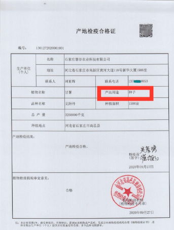 河北1500畝土地種 毒紅薯 致小麥絕收 涉事公司 嚴(yán)重不實(shí)