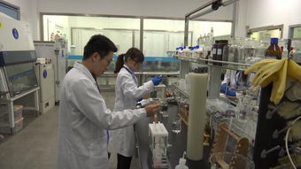 夯實質量基礎 山東到2020年將認證50個產品和服務